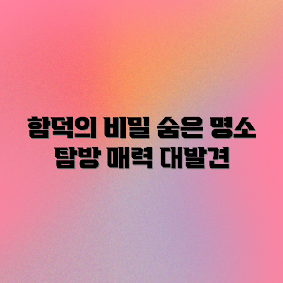 제주 함덕 여행, 함덕 숨은 명소, 제주 함덕 맛집, 힐링 여행 제주, 제주 함덕 추천