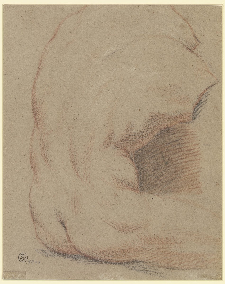 Rückenansicht eines männlichen Torso Torso vom Belvedere
