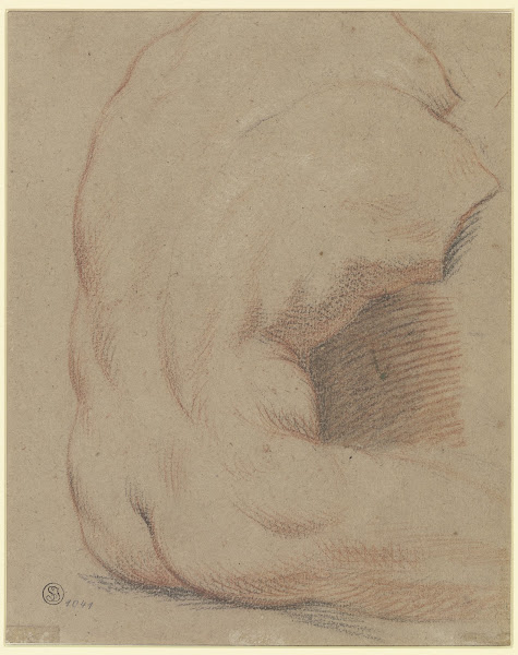 Rückenansicht eines männlichen Torso Torso vom Belvedere