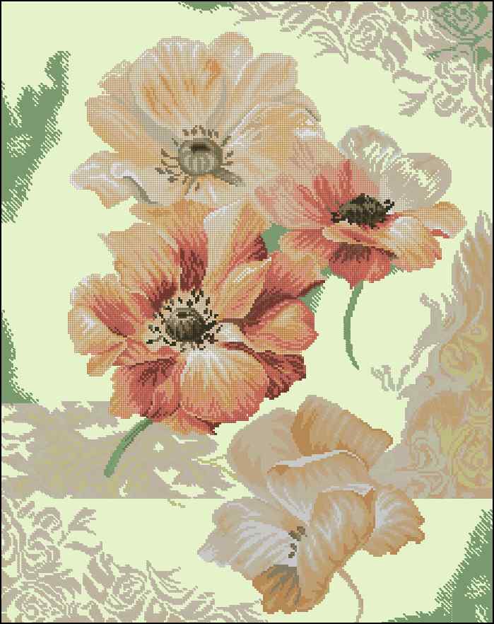 CMP 170143 Delight
