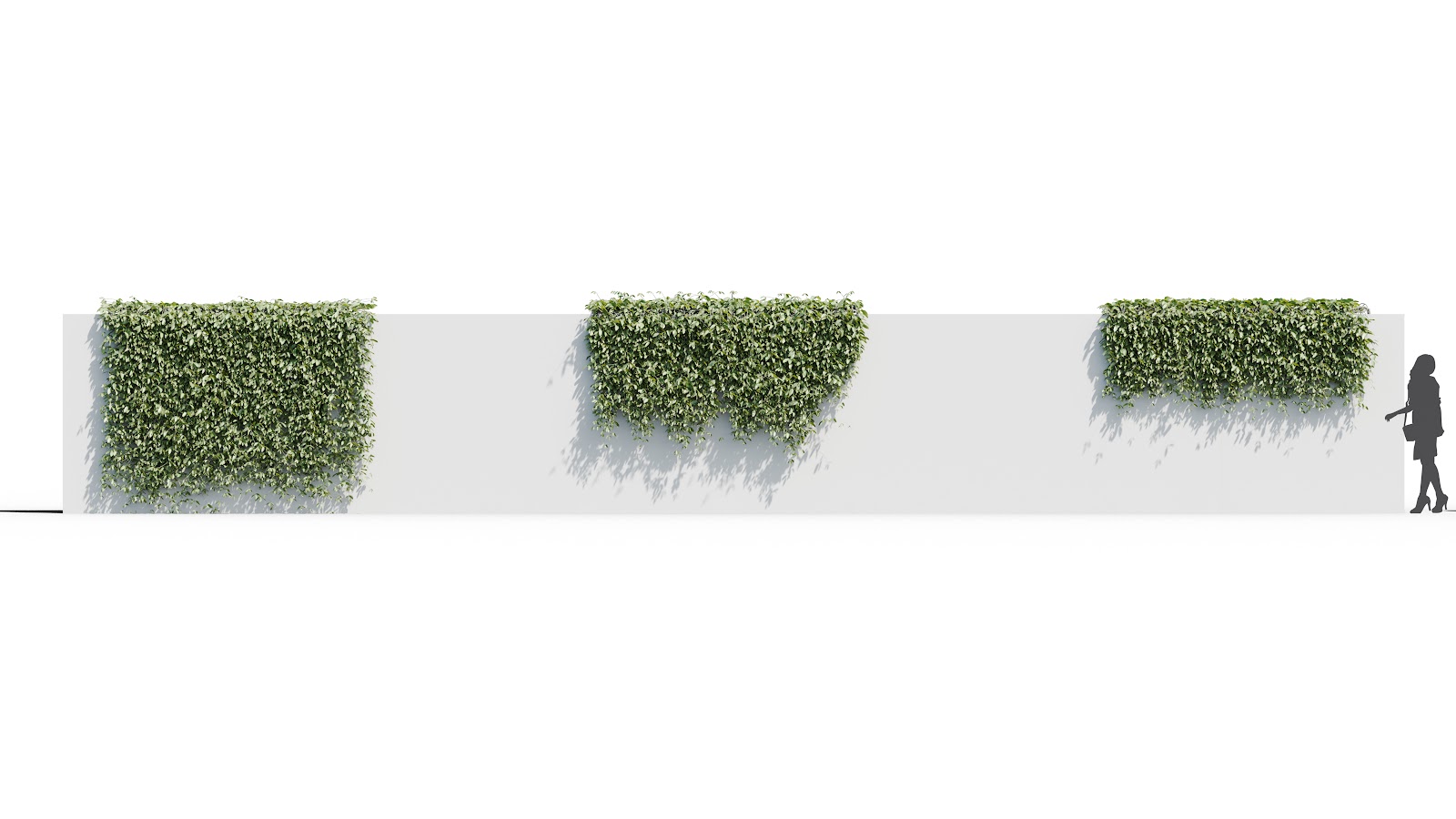 Maxtree - Plant Models Vol.37