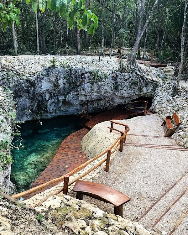 Green Dream Tulum – photo 4