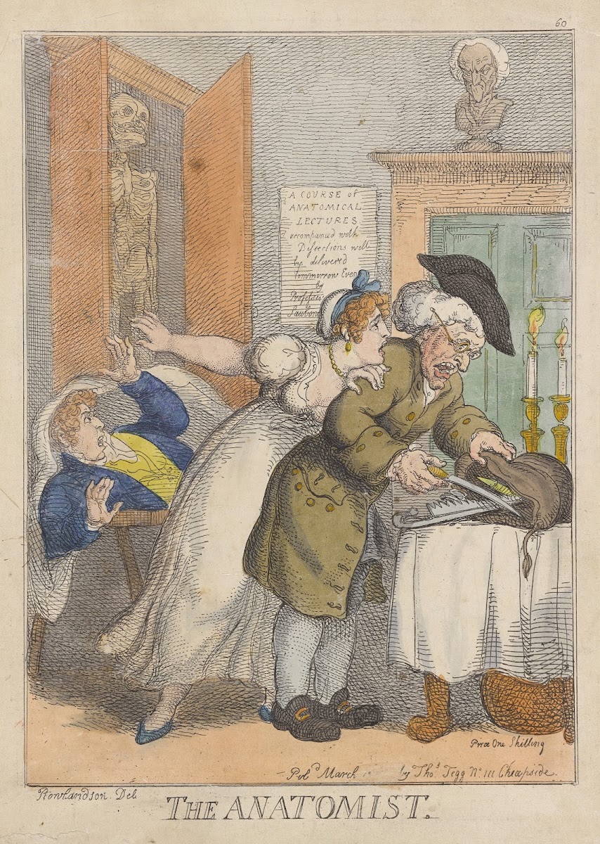 The anatomist