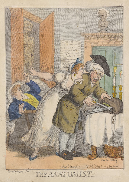 The anatomist