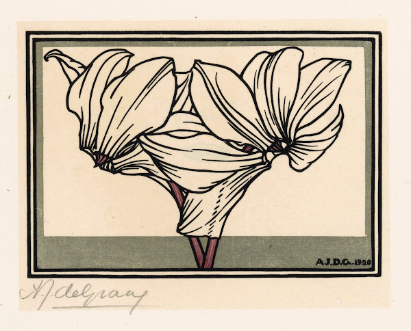 Cyclamen 1920