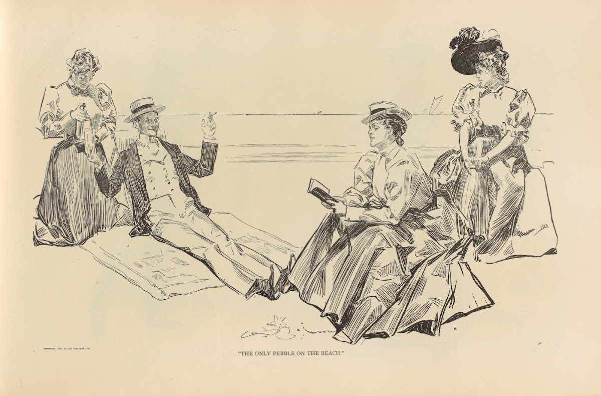 The only pebble on the beach 1893 1900
