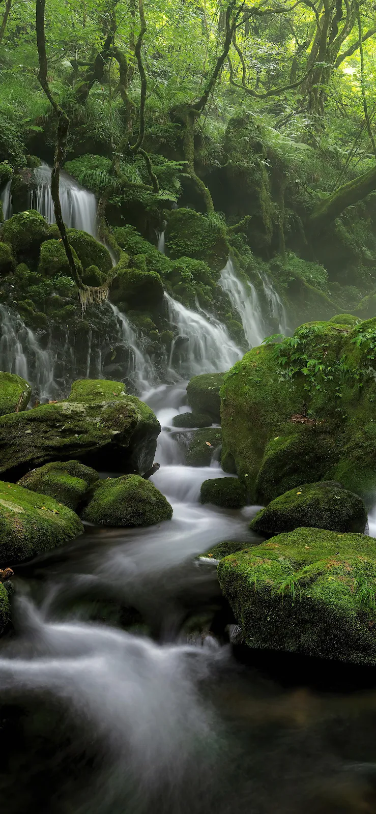 Lush Mossy Waterfall In Forest - Nature Photography 2K iPhone Wallpaper (1772x3839)
