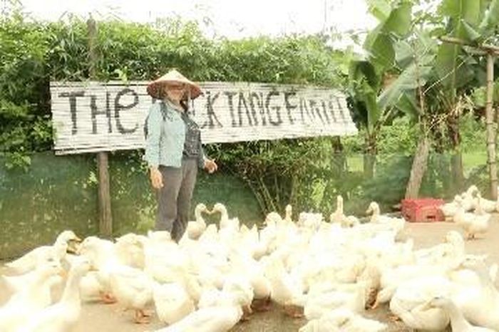 Khách du lịch quốc tế thích thú khi 'chơi với vịt' - Báo Văn hóa