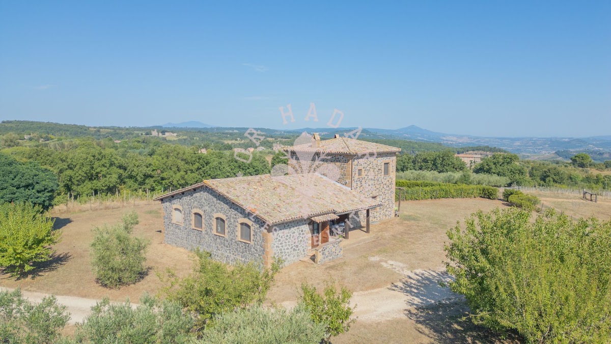 קאזאלה פוג'ו אוליבלה (Casale Poggio Olivella) — 25