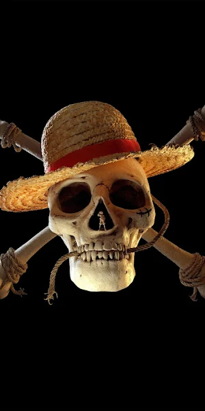 One Piece Straw Hat Jolly Roger 8K Wallpaper Background