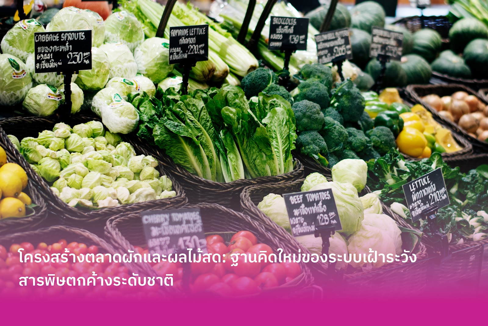 โครงสร้างตลาดผักและผลไม้สด: ฐานคิดใหม่ของระบบเฝ้าระวังสารพิษตกค้างระดับชาติ