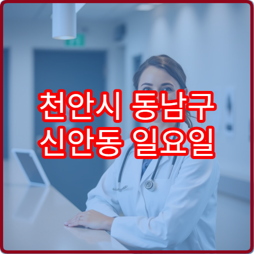 천안시 동남구 신안동 일요일 비뇨의학과 진료 병원 요로 증상 상담