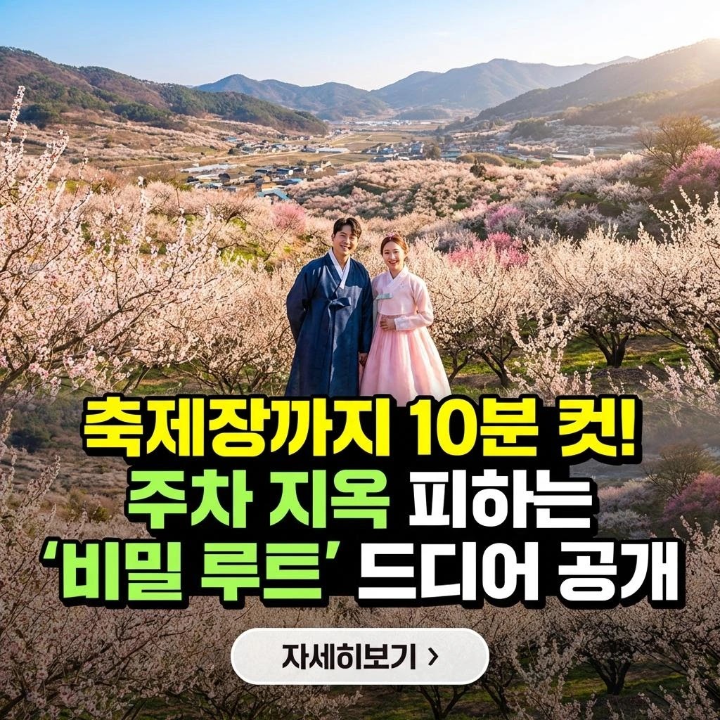 2026 광양 매화 축제 주차 및 개화시기 완벽 가이드