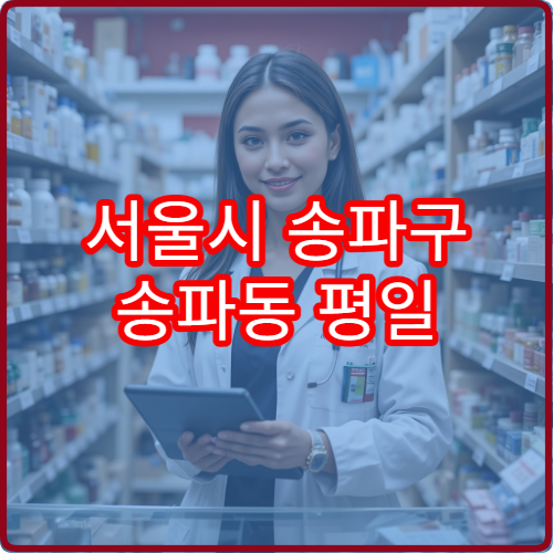 서울시 송파구 송파동 평일 야간 약국 저녁 시간대 운영 약국 정보