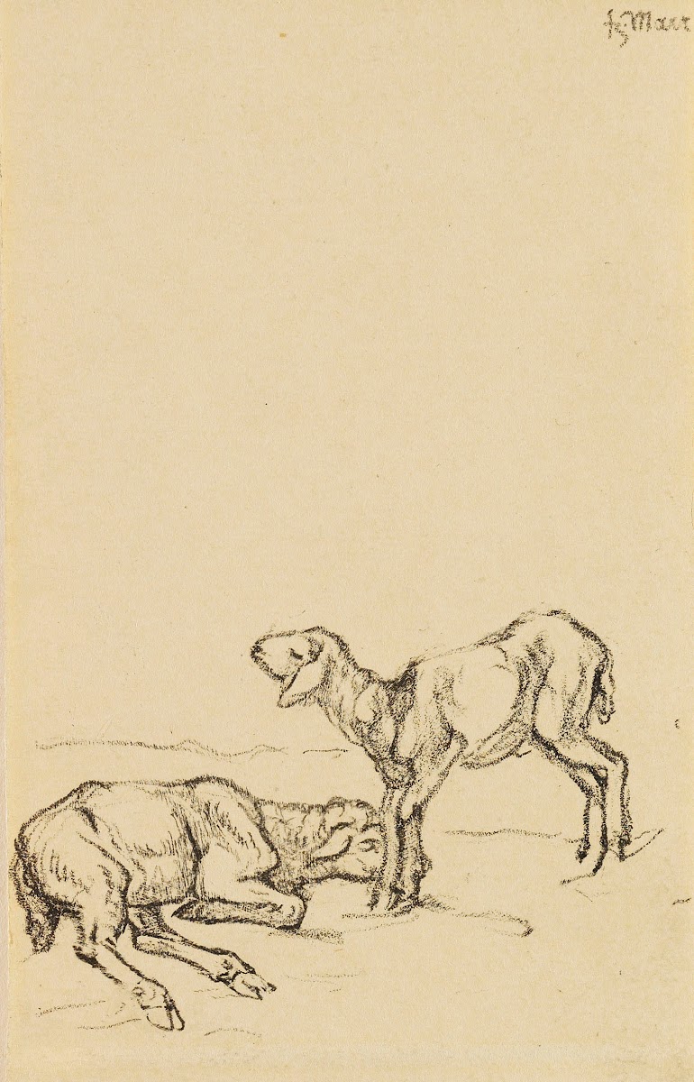 Zwei Lämmer 1908