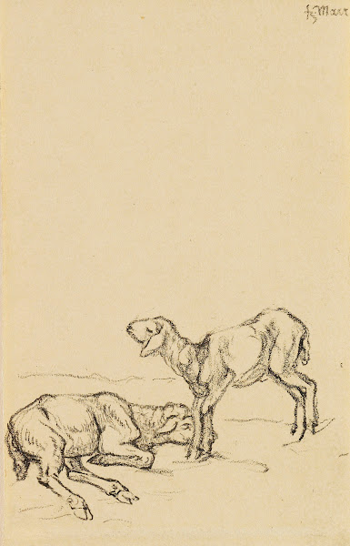 Zwei Lämmer 1908
