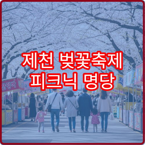 제천 벚꽃축제 피크닉 명당 물태리 잔디광장 위치와 준비물