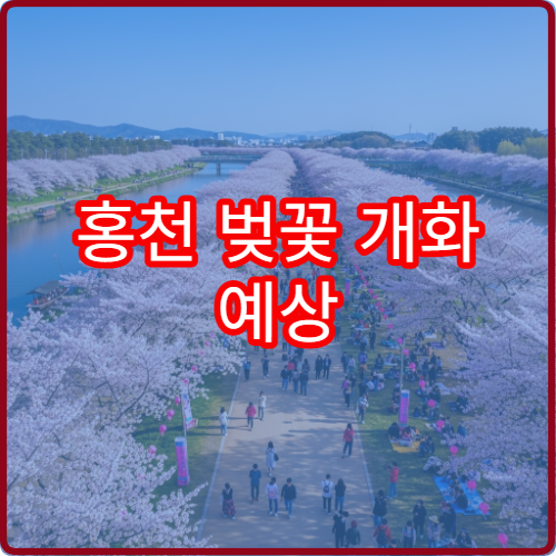 홍천 벚꽃 개화 예상 홍천 봄꽃 절정 시기