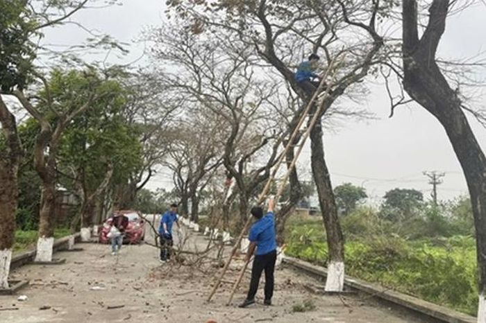 Đảm bảo an toàn cây xanh trước mùa mưa bão - Đài Phát thanh và truyền hình Hà Nội
