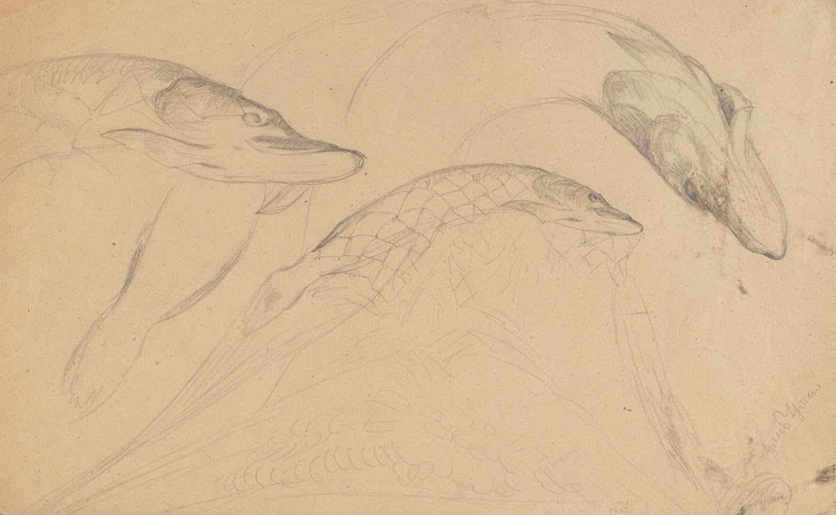 Study of Fish Pikes 1875