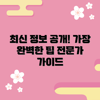 마비노기 전문가, 마비노기 초보자, 마비노기 가이드, 마비노기 업데이트, 마비노기 팁