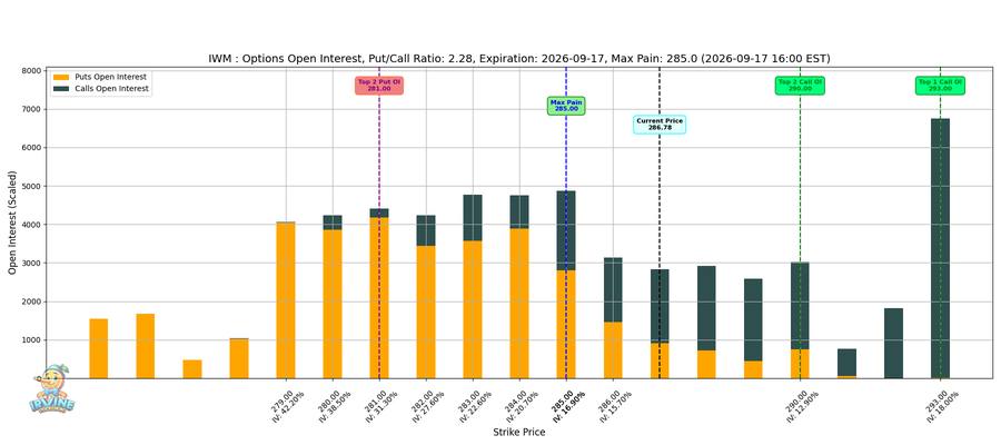 IWM Options