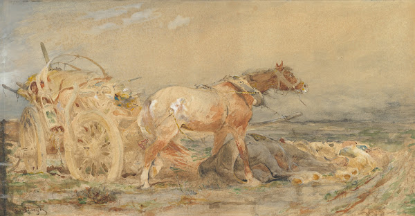 Abandoned Marshes of the Danube before 1887