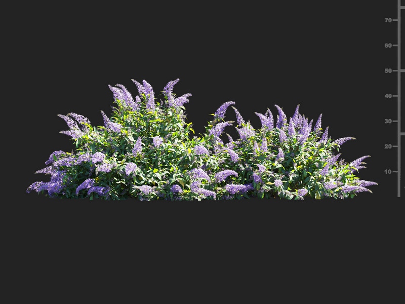 Maxtree - Plant Models Vol.112