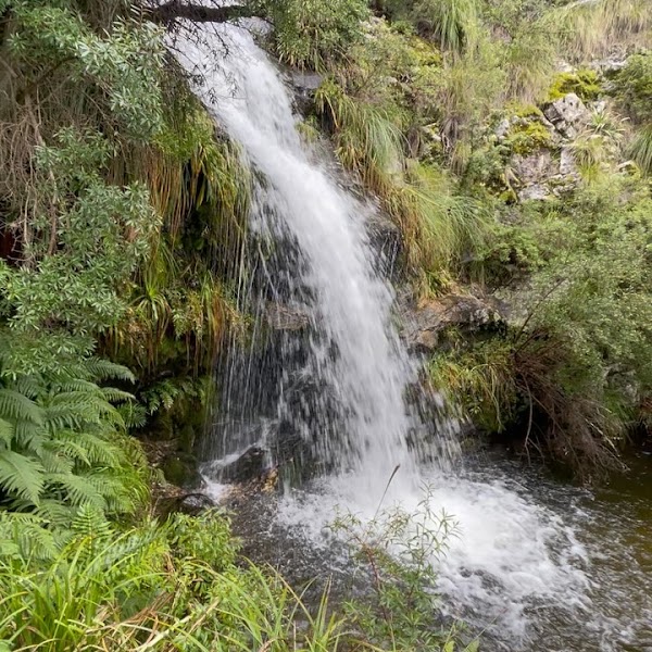Trek a Los Chorros y Bosque de Tabaquillos