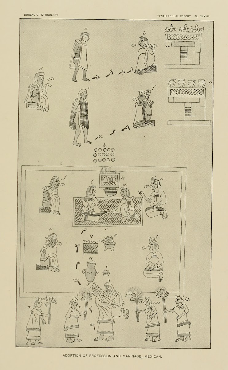 Adoption of Profession and Marriage Mexican 1894
