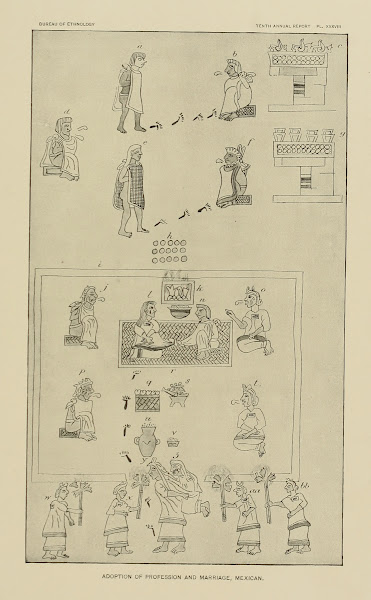 Adoption of Profession and Marriage Mexican 1894