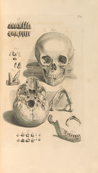 Anatomia humani corporis Pl093 1685