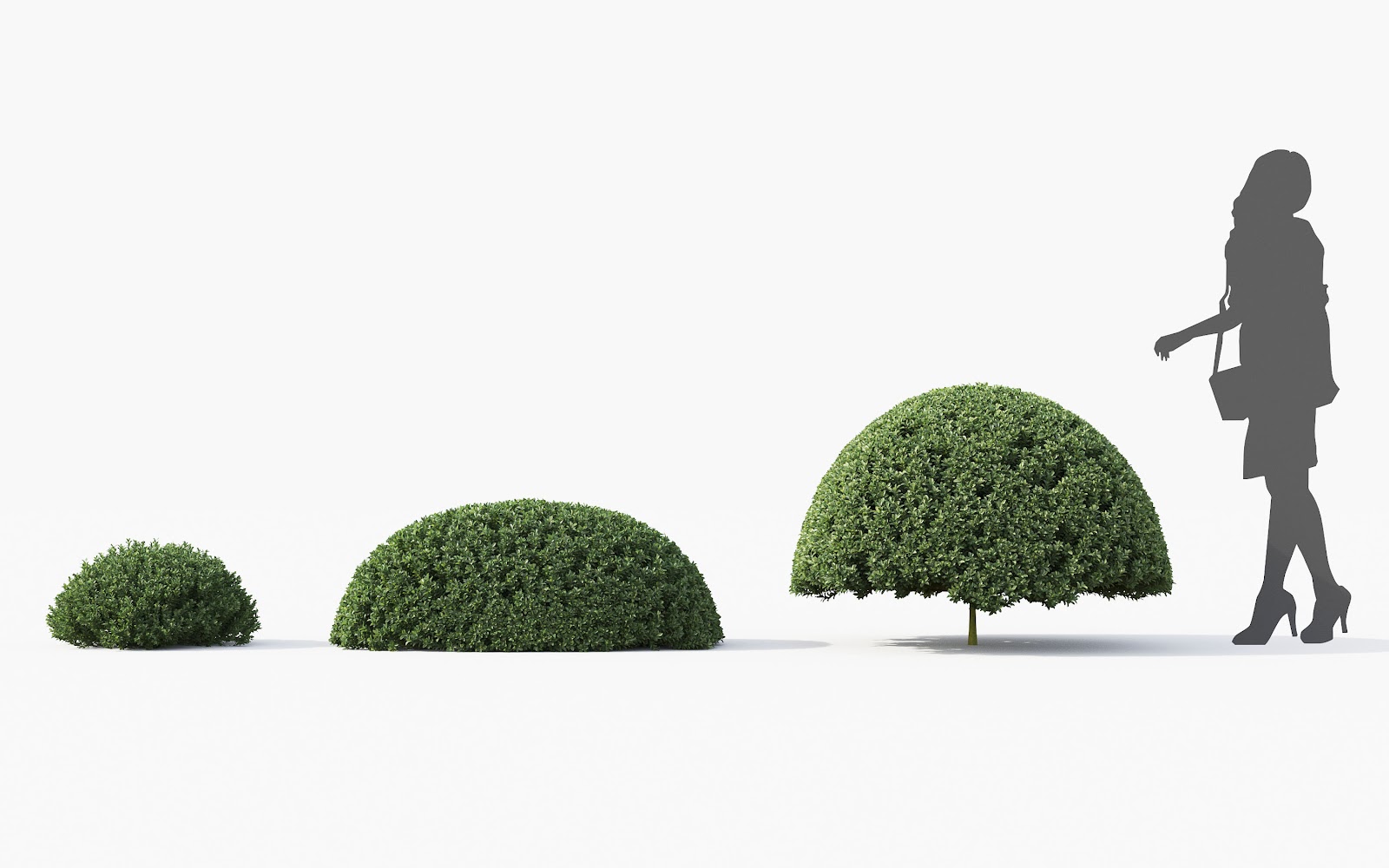 Maxtree - Plant Models Vol.28