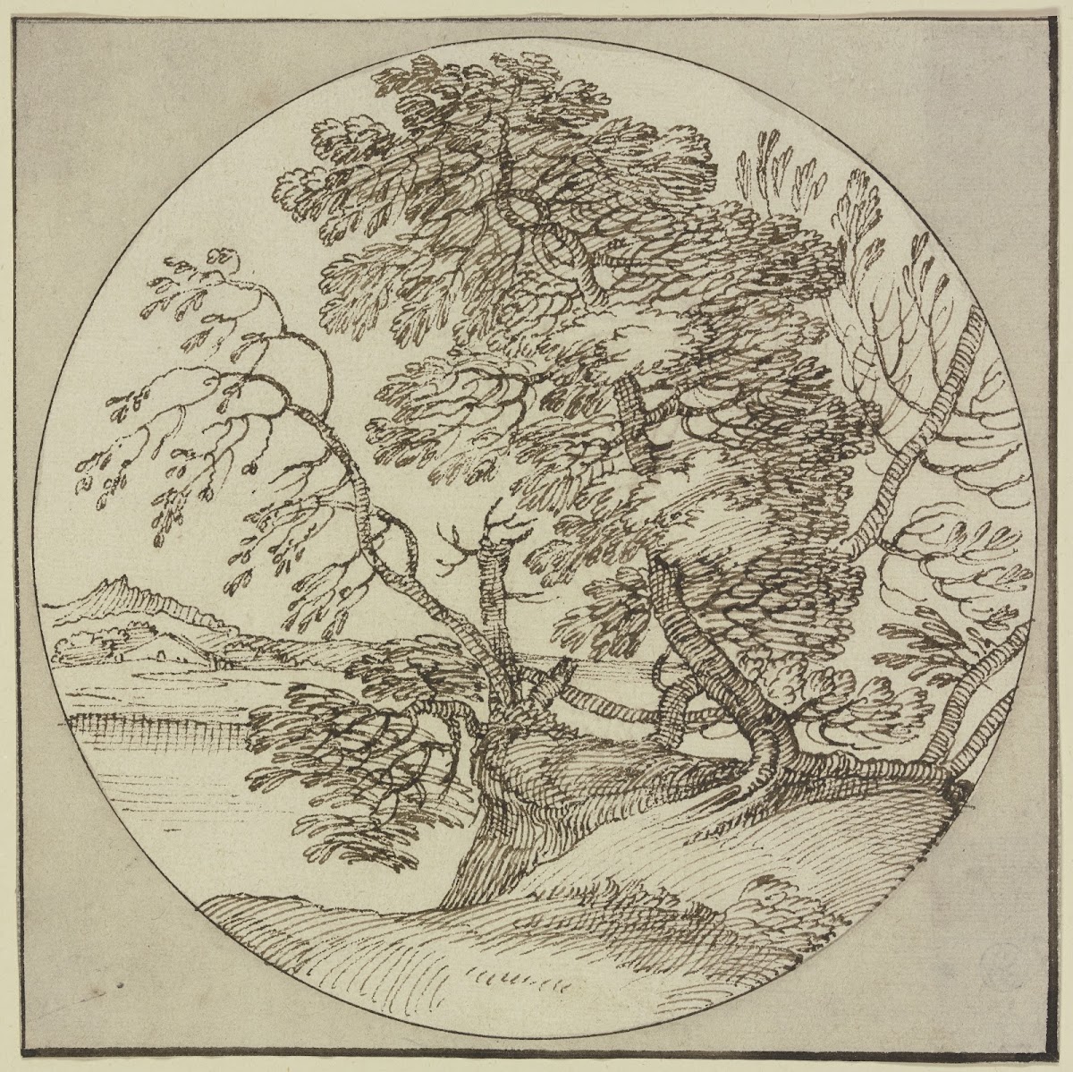 Tree section by the water