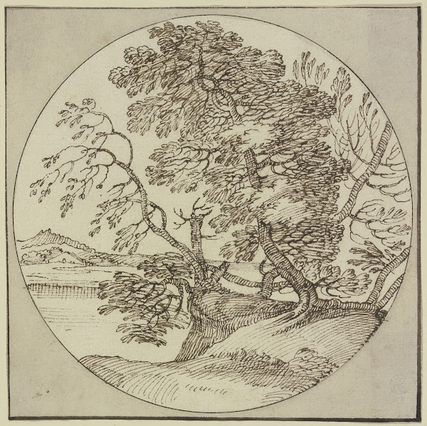Tree section by the water
