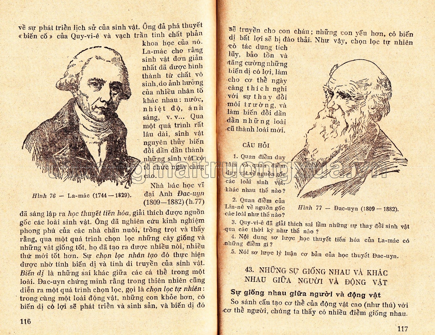 Động vật lớp 7 phổ thông (1968) - Trang 31