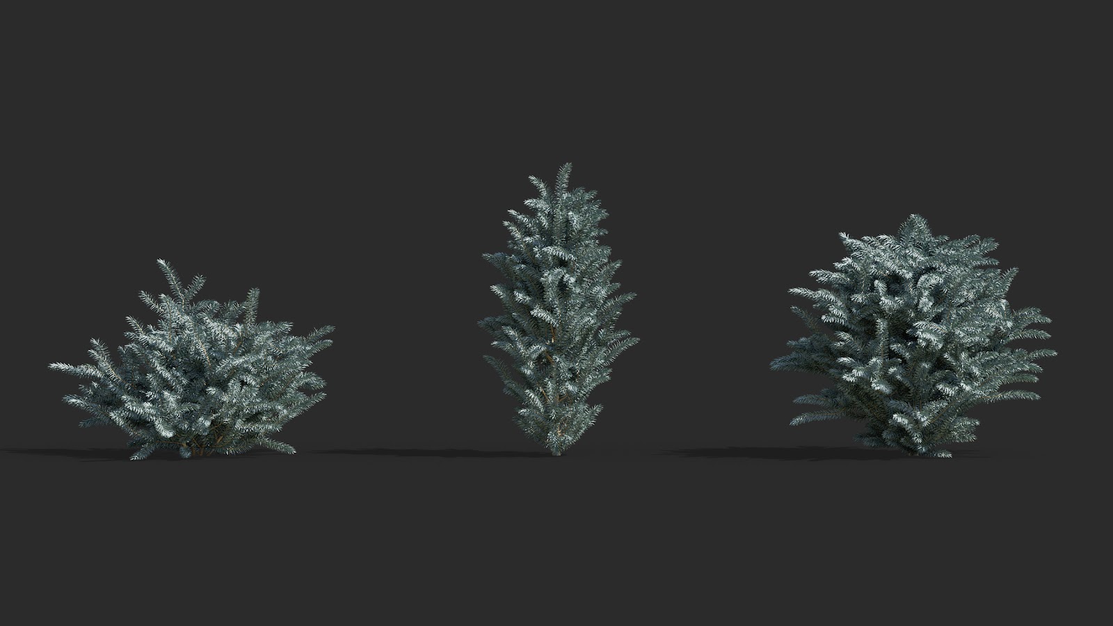 Maxtree - Plant Models Vol.63