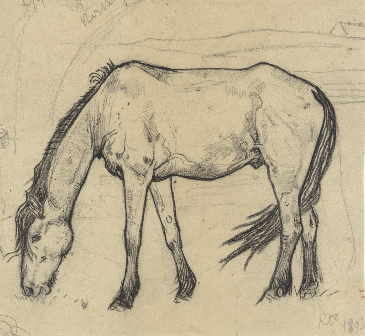 Grazend paard te Noordwijk 1893