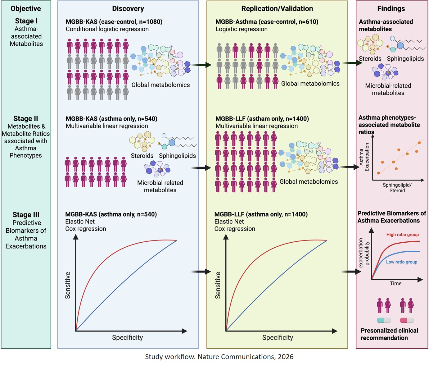 New method predicts asthma attacks up to five years in advance