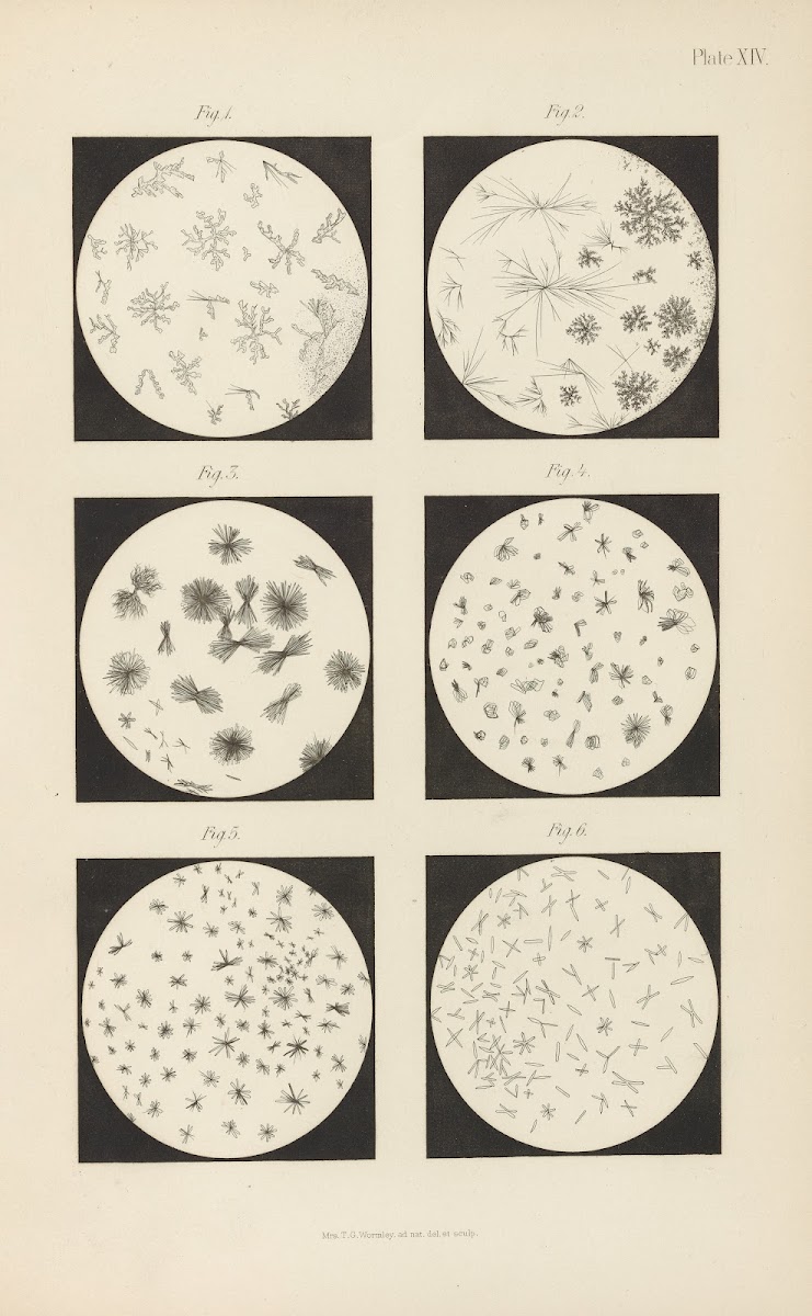 Micro Chemistry of Poisons Pl14 1885