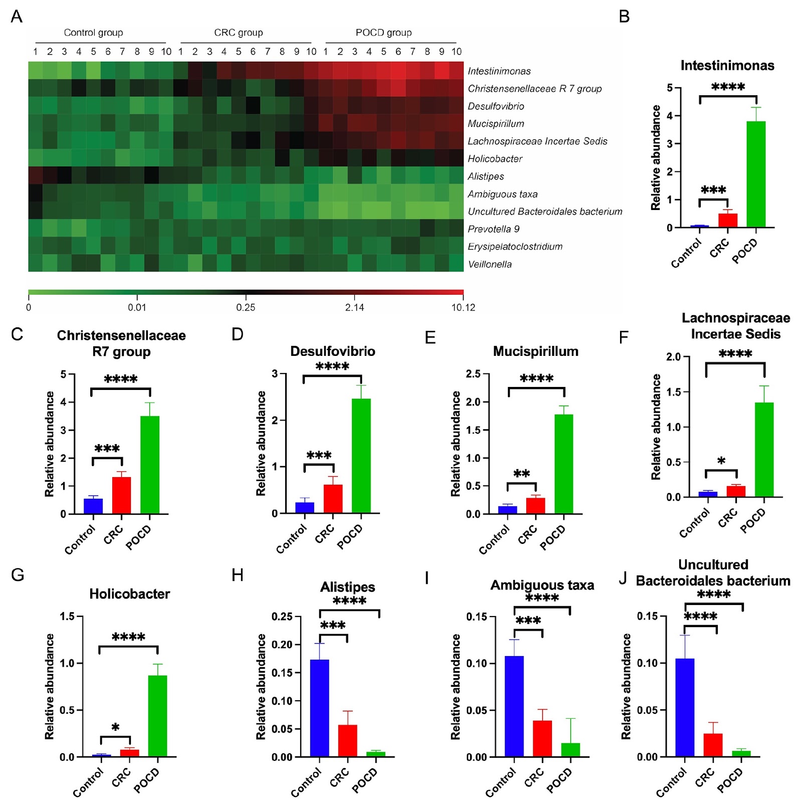 Gut-brain axis and exosome-mediated communication in postoperative cognitive dysfunction associated with colorectal cancer
