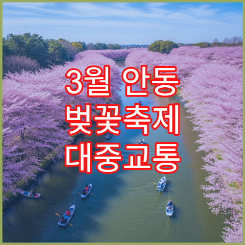 3월 안동 벚꽃축제 대중교통 버스 노선 초보자 안내