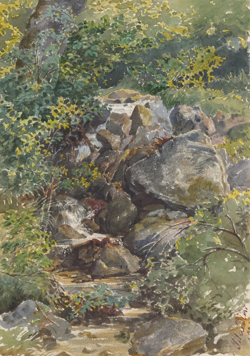 Forest Brook