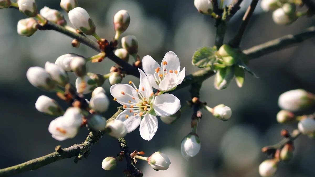 해외 ETF 투자 시 환율 변동 리스크 헤지 전략