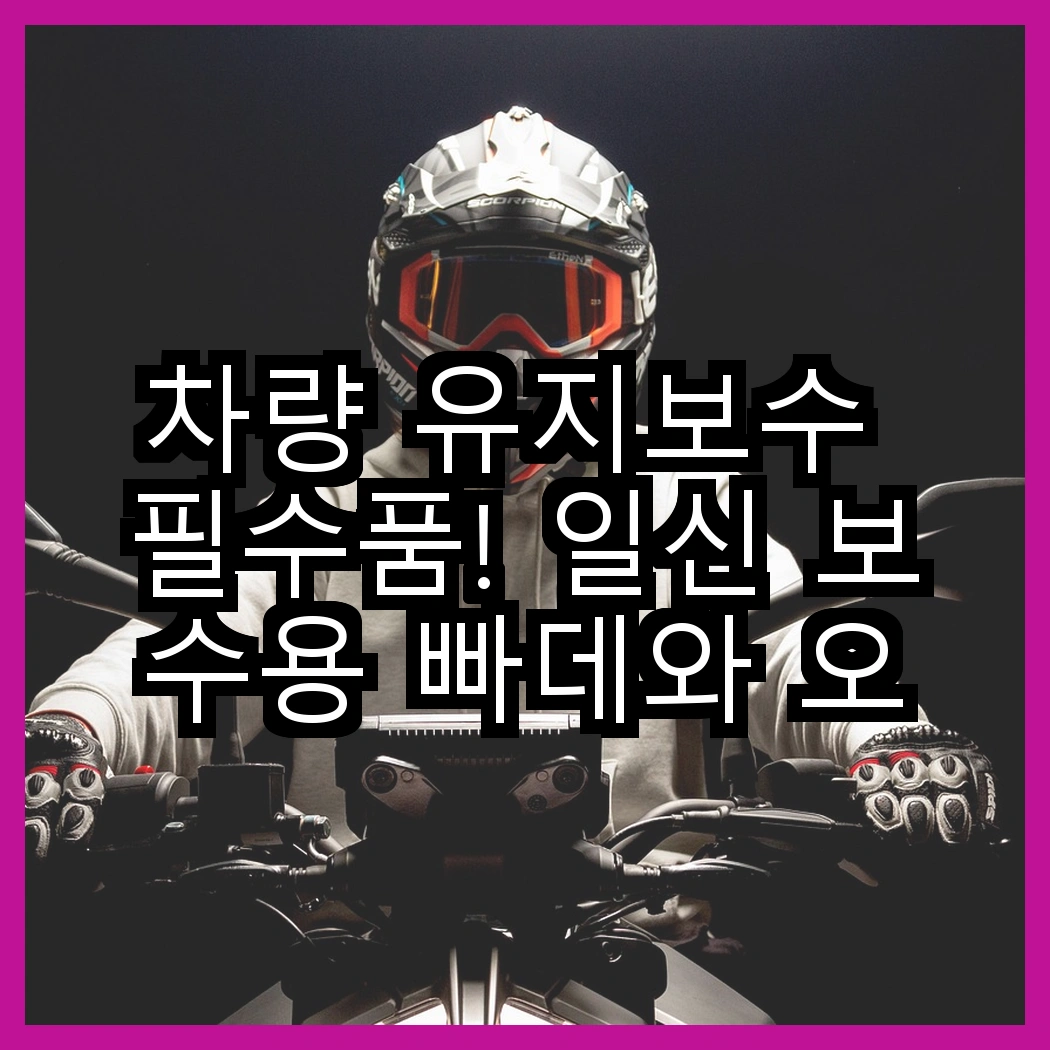 차량 유지보수 필수품! 일신 보수용 빠데와 오토엘리트 안전벨트클립, 어떤 차이가 있을까? 썸네일