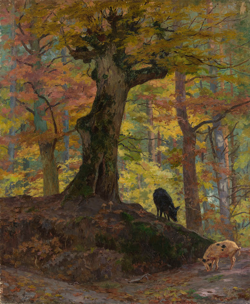 Wild pigs in the forest 1897