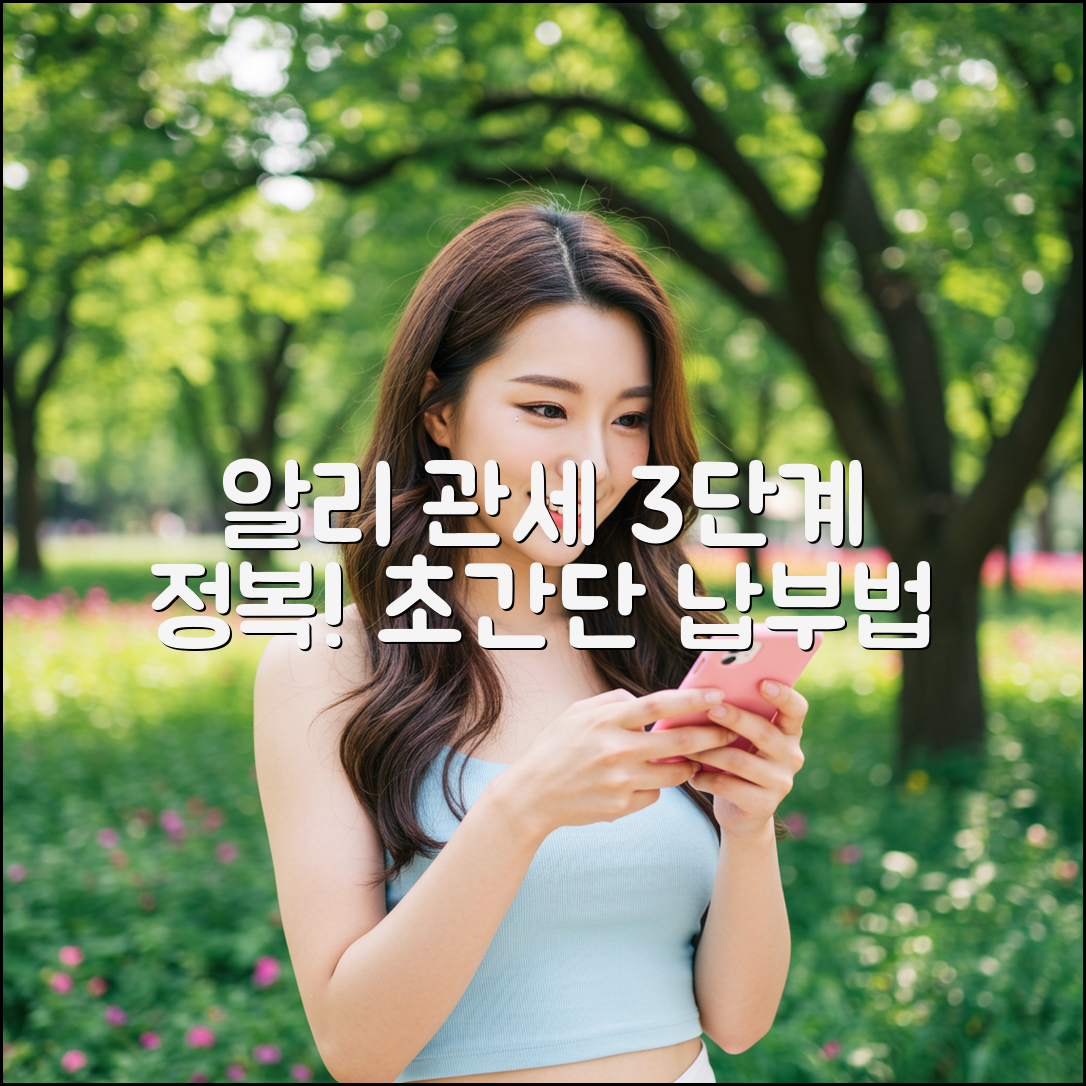 알리익스프레스 관세 납부 3단계 정복!