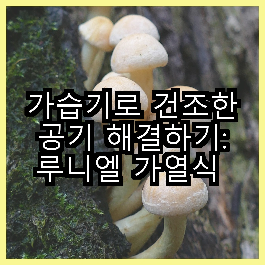 가습기로 건조한 공기 해결하기: 루니엘 가열식 대용량 vs 신일 저소음, 과연 어떤 선택이 현명할까? 썸네일