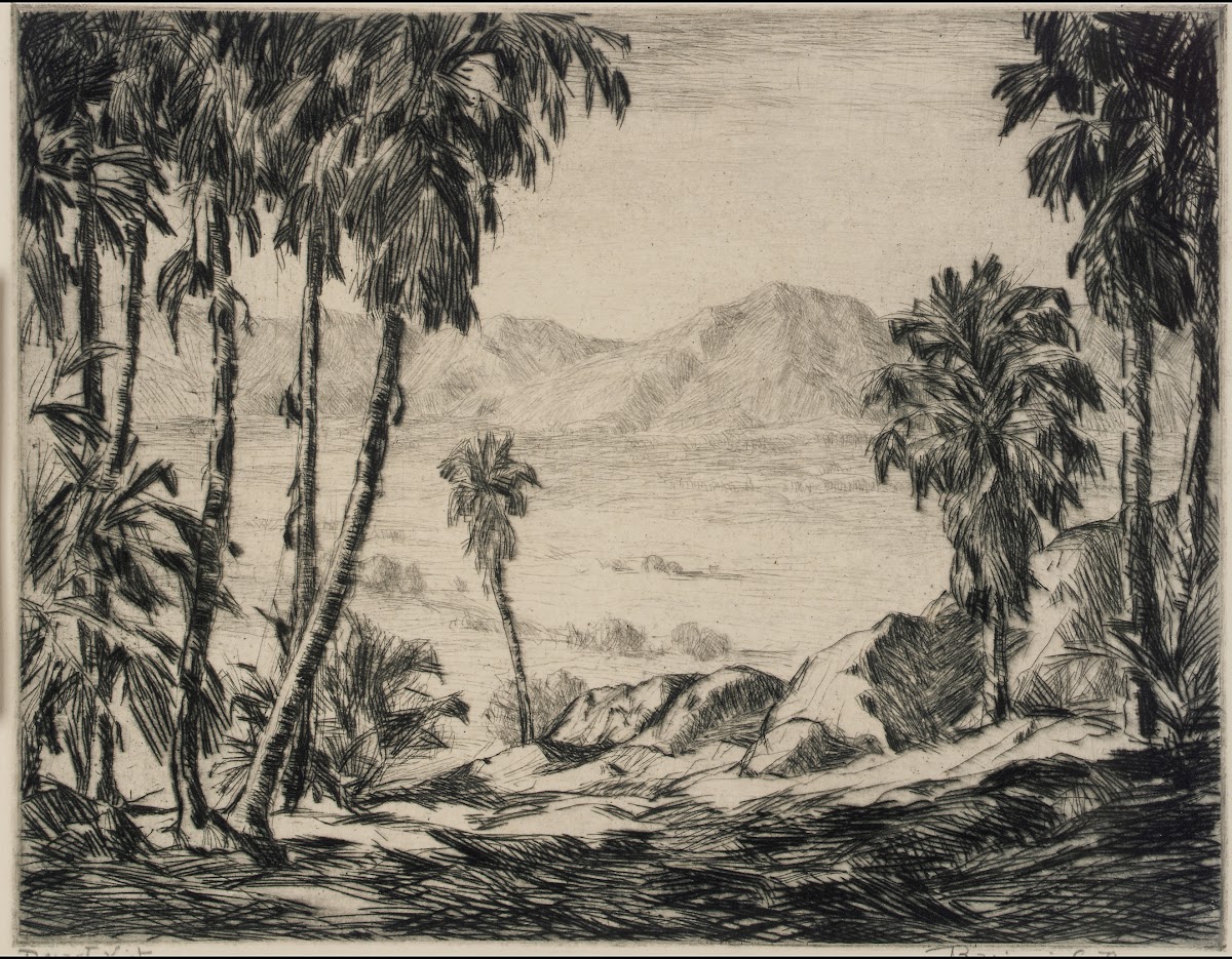 Desert Vista Ca 1932