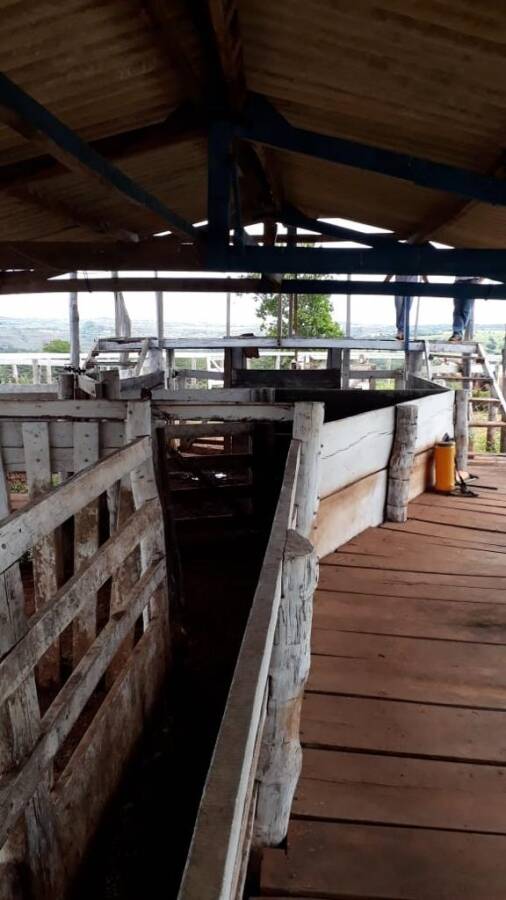 Fazenda em Caiapônia-GO 7
